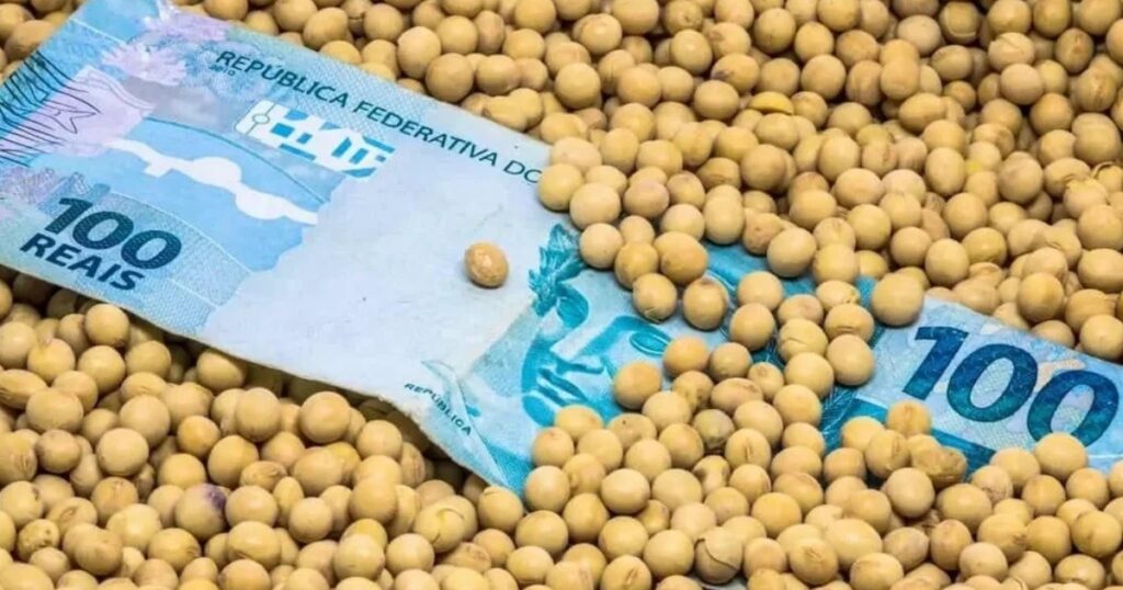 mercado de soja no Brasil