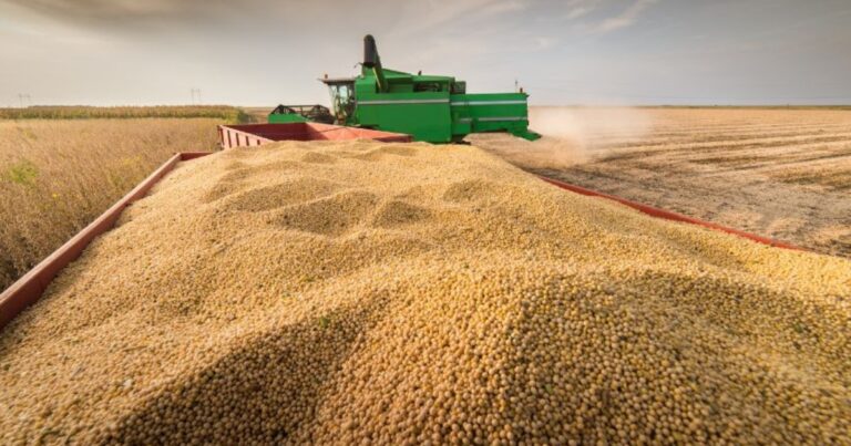 Exportações do agronegócio mineiro atingem recorde histórico e somam quase US$ 20 bilhões em 2025