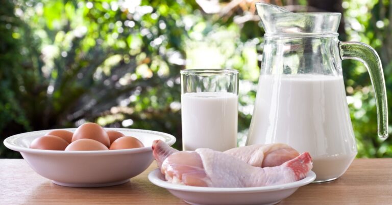 Ovos, frango e leite em pó recuam no início de 2026 e aliviam custo da proteína