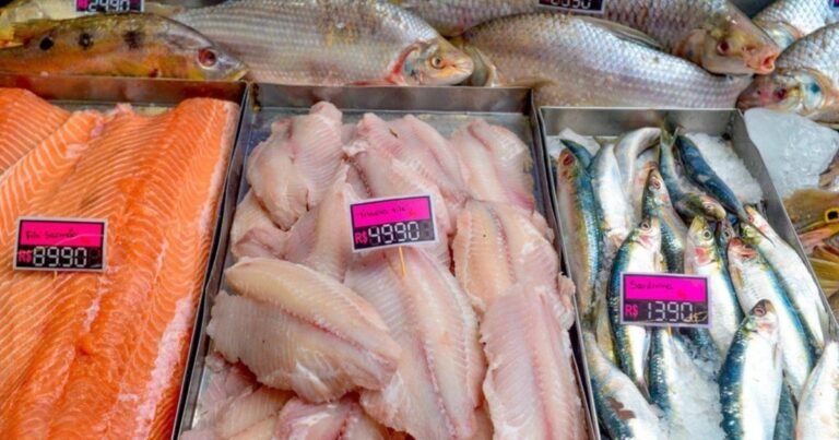 Quaresma eleva consumo de peixe e exige atenção sanitária