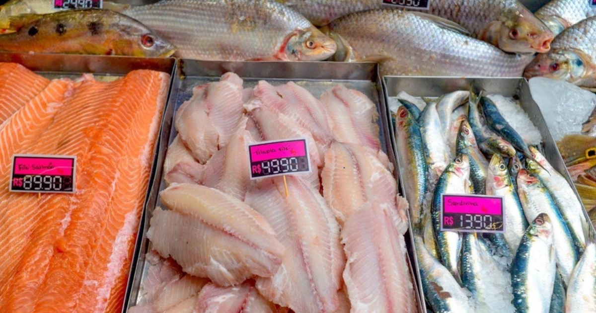 consumo de peixe na quaresma