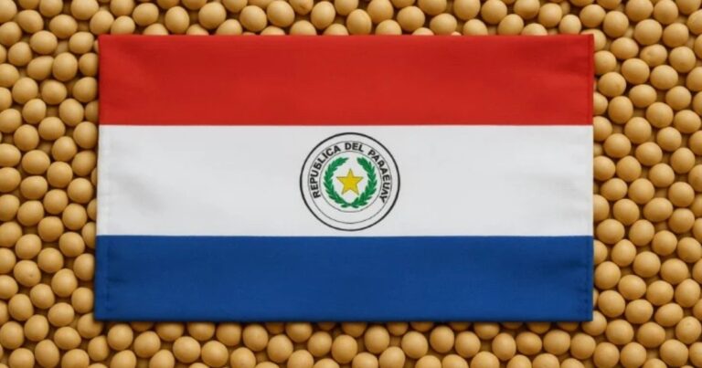 Safra recorde de soja no Paraguai avança com produção maior que o esperado