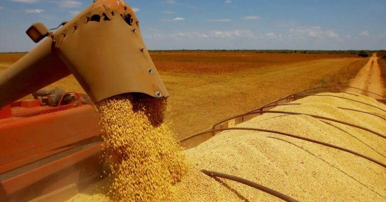 Paraná deve colher 21,78 milhões de toneladas de soja na safra 2025/26, projeta Deral