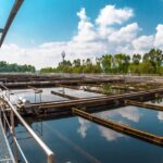 Relatórios técnicos viagem à Ásia: Nº 3 fazenda TH Aqua Co LTD-Vietnã