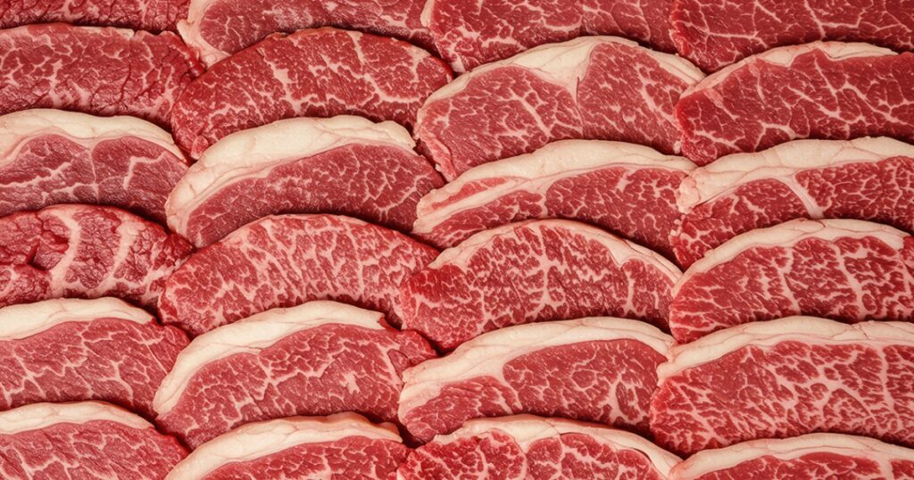 exportação de carne bovina