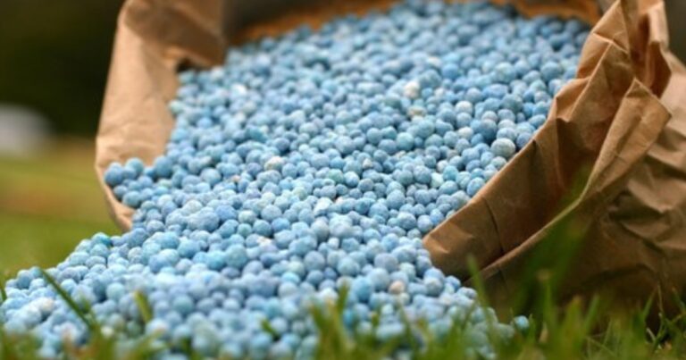 Tensão no Oriente Médio ameaça oferta global de ureia e pressiona mercado de fertilizantes