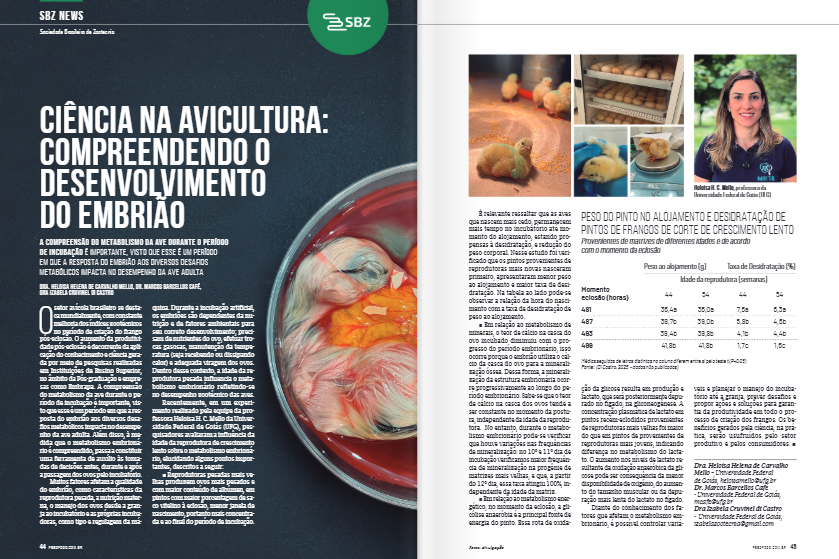 metabolismo embrionário aves