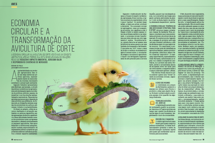 economia circular na avicultura