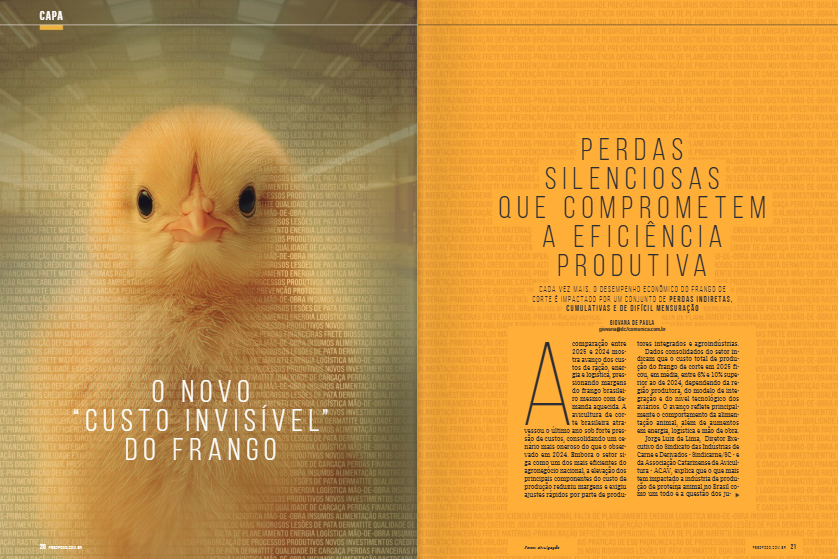 custo de produção do frango