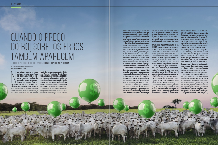 preço do boi gordo
