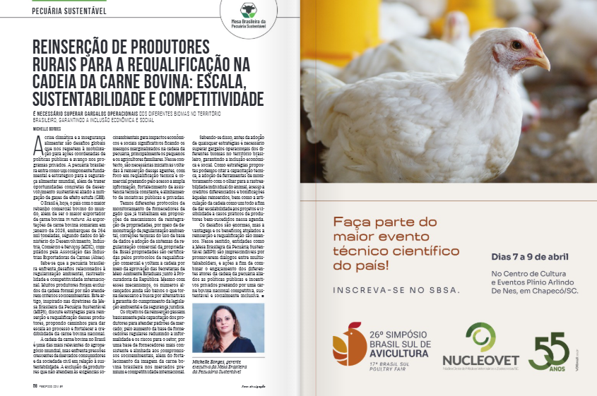 cadeia da carne bovina