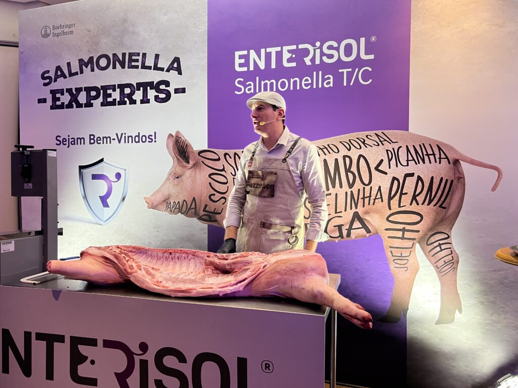 salmonelose,boehringer ingelheim,suínos