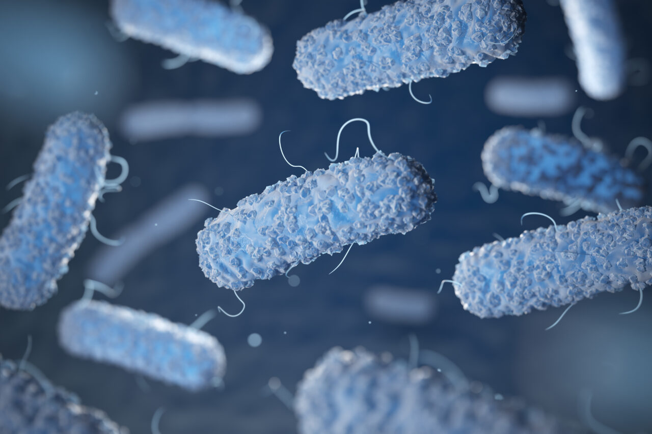 patogenicidade da Salmonella