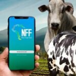 A virada fiscal do produtor rural