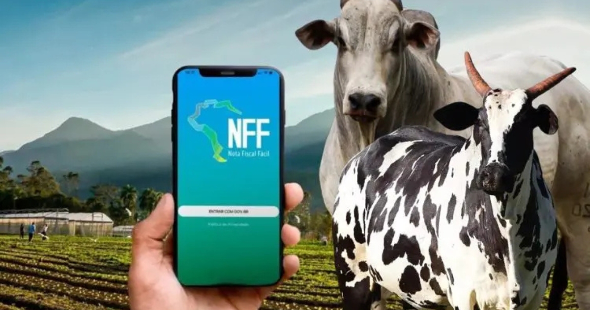 nota fiscal eletrônica produtor rural