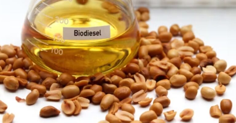 Biodiesel amplia demanda interna e reposiciona mercado da soja no Brasil