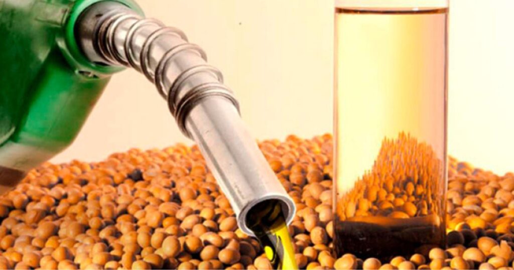 biodiesel soja Brasil