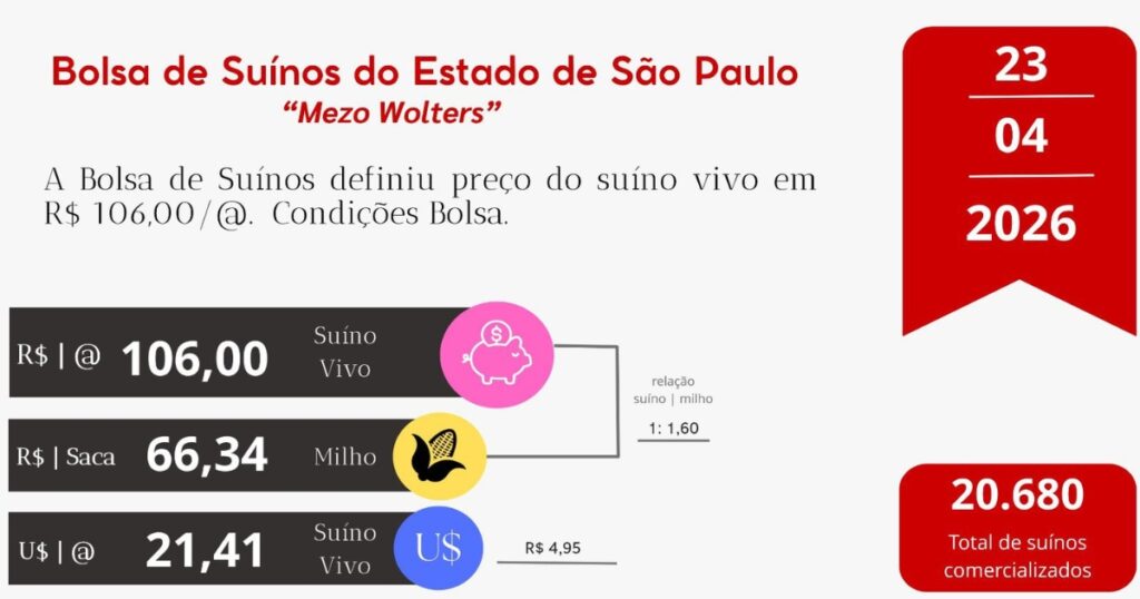preço do suíno