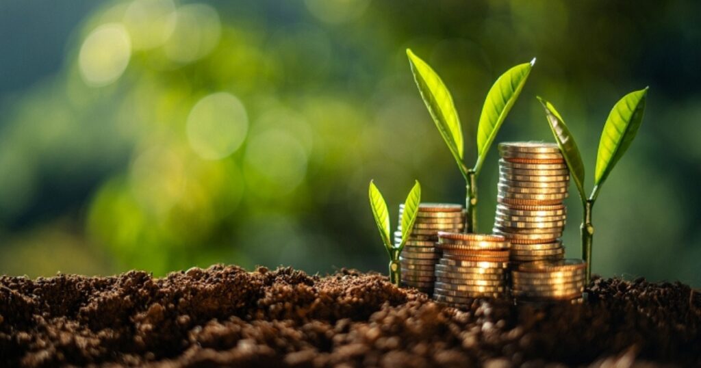 crédito rural empresarial