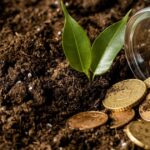 Crédito rural empresarial alcança R$ 404 bilhões e avança no Plano Safra 2025/2026