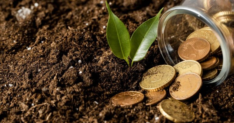 Crédito rural empresarial alcança R$ 404 bilhões e avança no Plano Safra 2025/2026