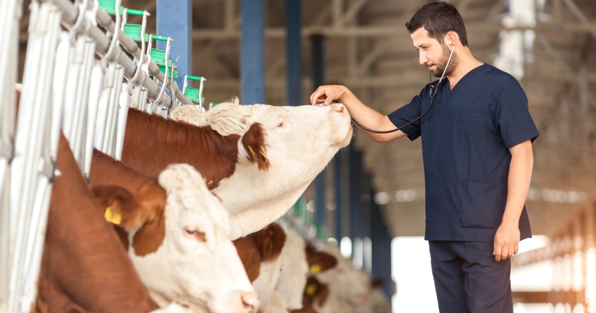 medicina veterinária agro