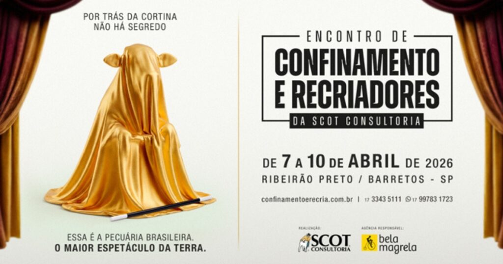 confinamento e recria