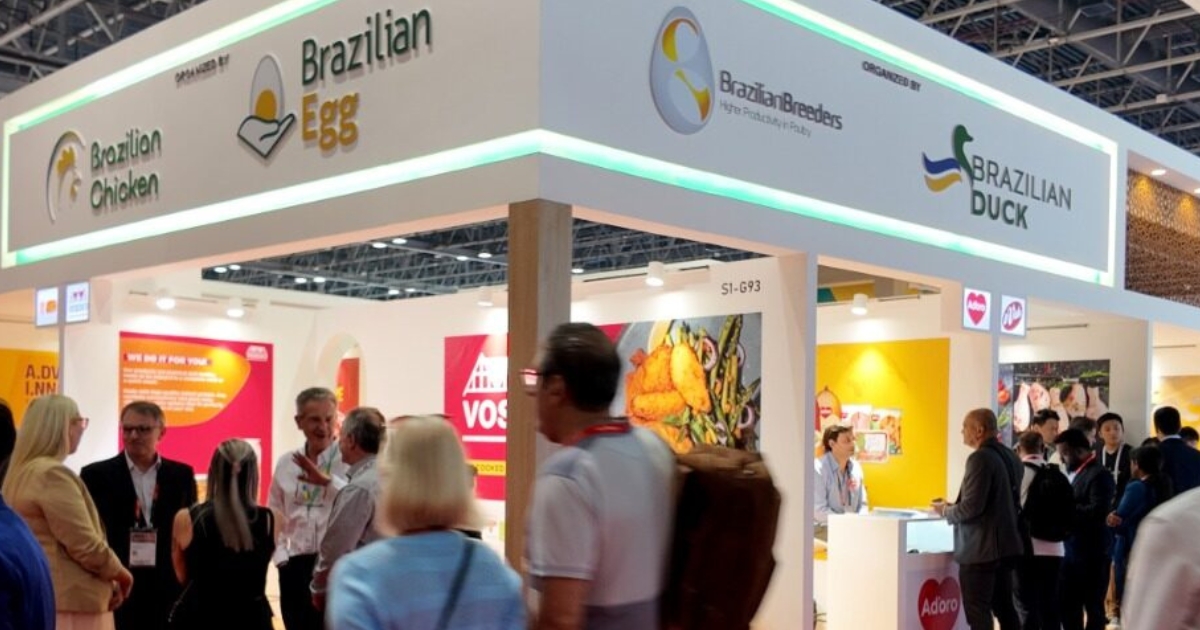 exportação proteína animal