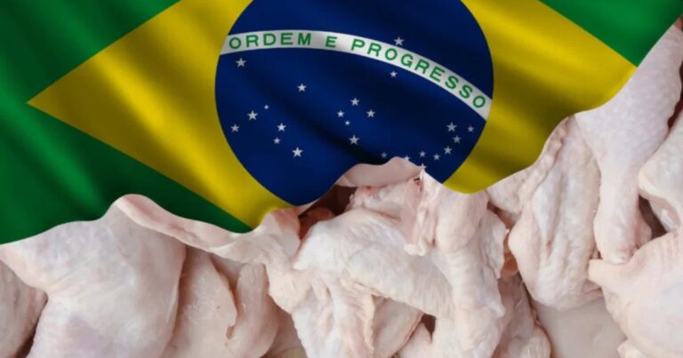 Exportações de carne de frango batem recorde no primeiro trimestre de 2026