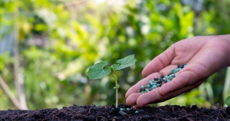 Fertilizantes disparam no mercado internacional e pressionam custo de produção no Brasil