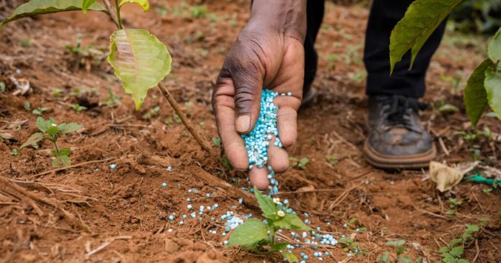 fertilizantes