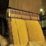 Frete de grãos avança em Mato Grosso e pressiona custos do produtor