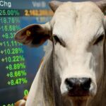 Futuro do boi avança na CME com demanda firme e mercado atento ao pós-Páscoa