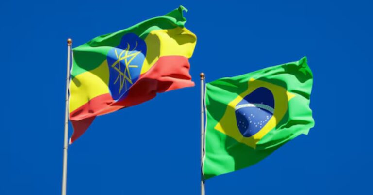 Brasil amplia acesso ao mercado da Etiópia para exportação de proteína animal e insumos agropecuários