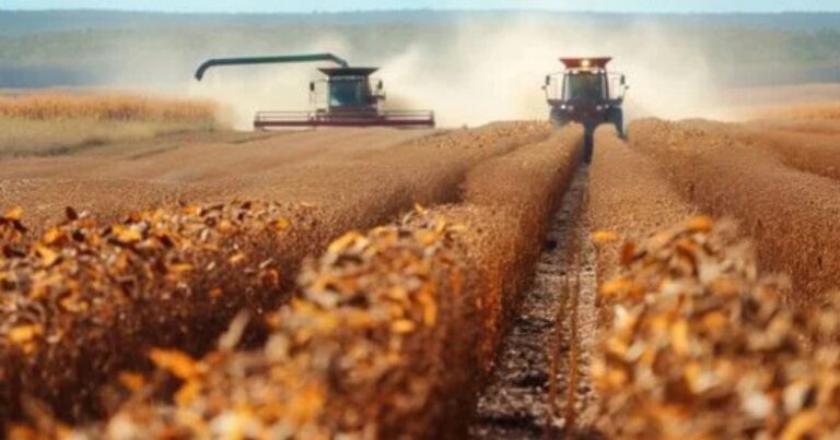 Safra brasileira de grãos atinge recorde e reforça protagonismo do país na produção global