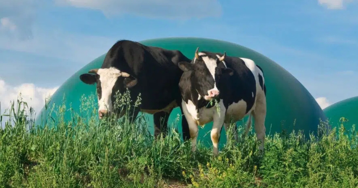 biogás na pecuária