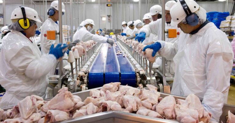 Brasil amplia exportações de frango mesmo com impactos da guerra no Oriente Médio
