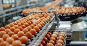 Mantiqueira Brasil é a primeira empresa do país habilitada a exportar ovos para a Coreia do Sul