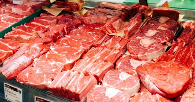 Carne bovina in natura supera 950 mil toneladas exportadas
