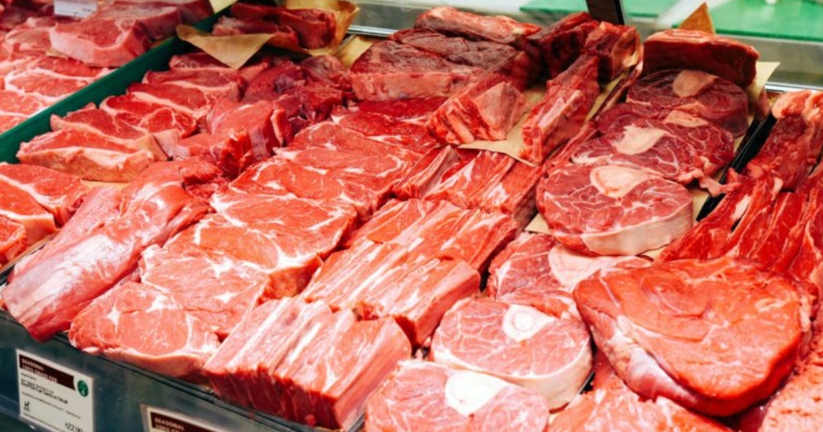 carne bovina