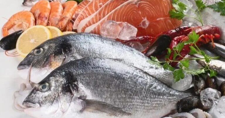 Nota fiscal passa a ser documento oficial de origem do pescado no Brasil