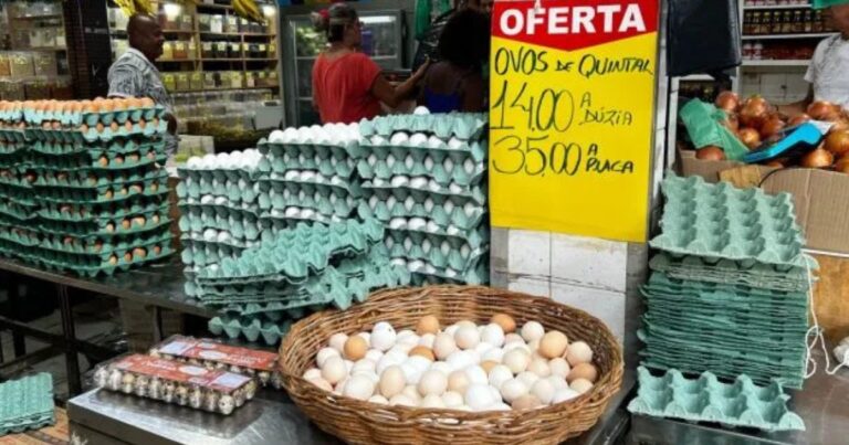 Queda nos preços dos ovos reduz poder de compra de avicultores em abril