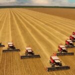 StoneX revisa safra de soja para cima e reforça perspectiva de recorde no Brasil