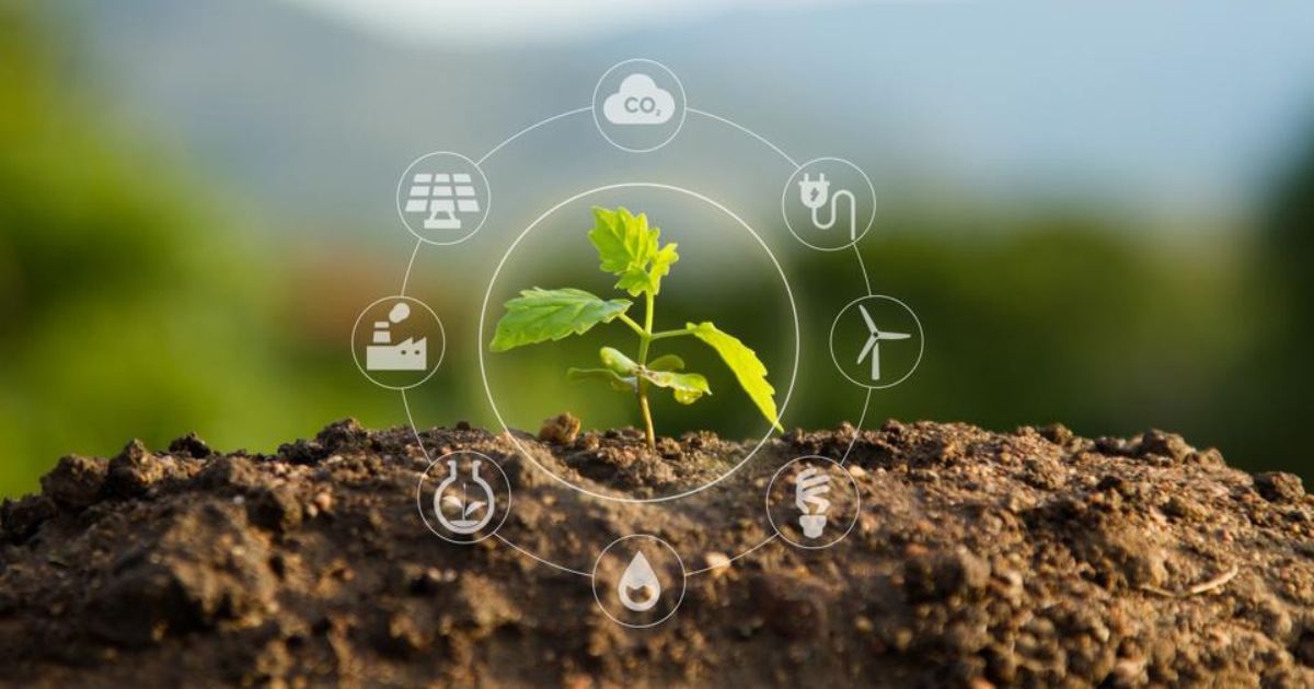 sustentabilidade no agronegócio