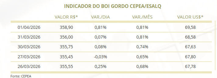 boi gordo