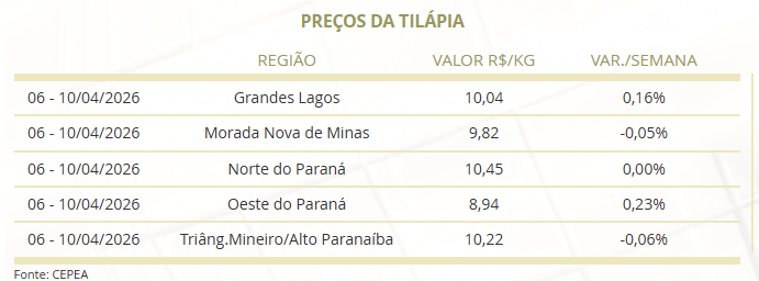 preço da tilápia