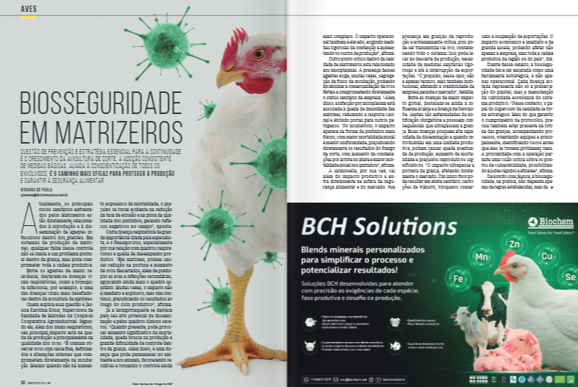 biosseguridade avícola