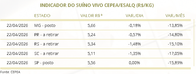 preço do suíno