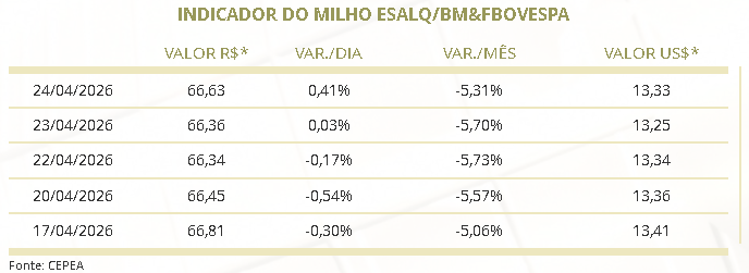 mercado do milho