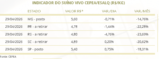 preço suíno vivo